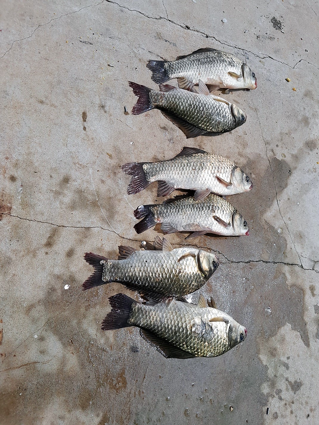 KakaoTalk_20230818_095332763_06.jpg