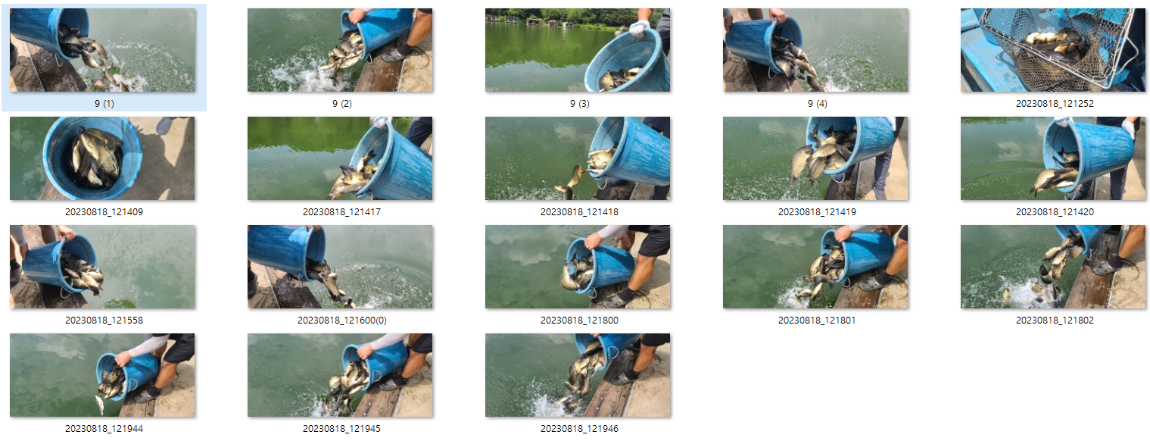 사용자 지정 1.png