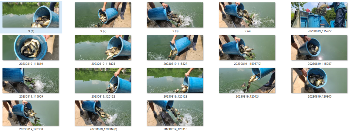 사용자 지정 2.png