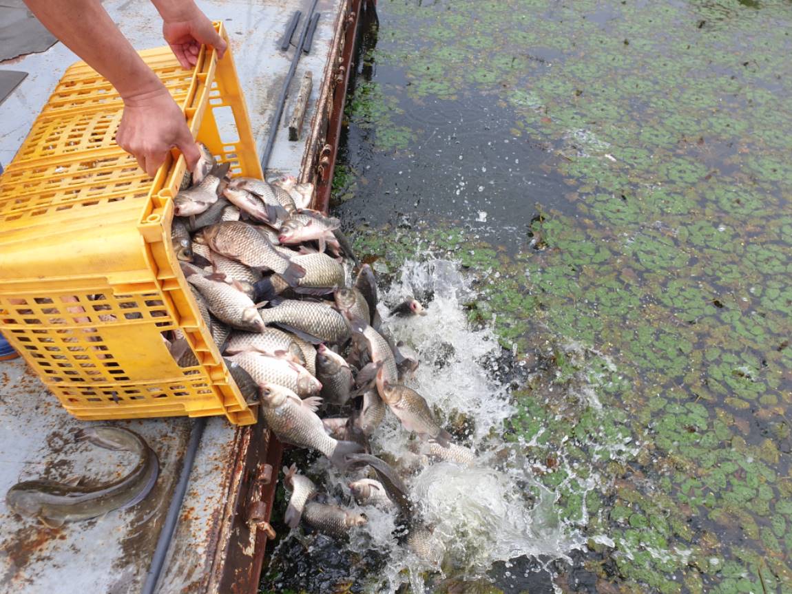 20230817-01 (13).jpg