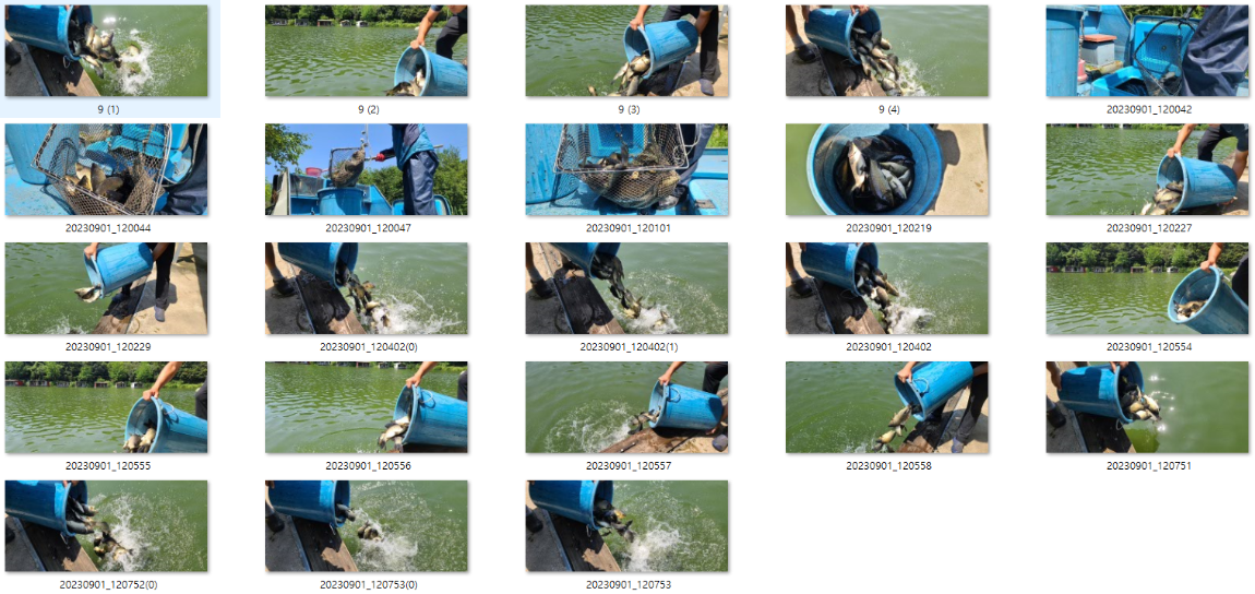 사용자 지정 2.png