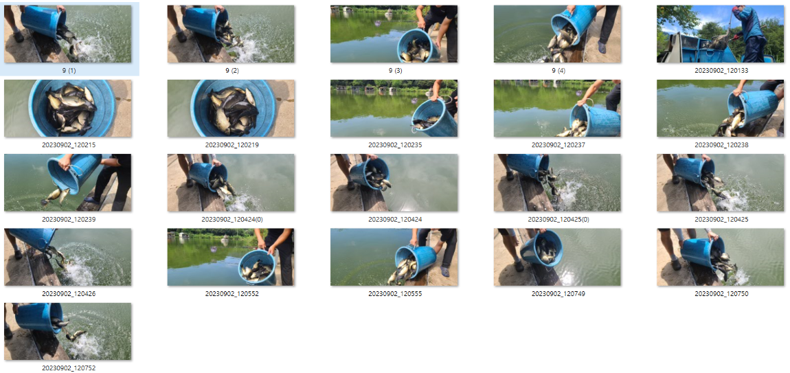 사용자 지정 1.png