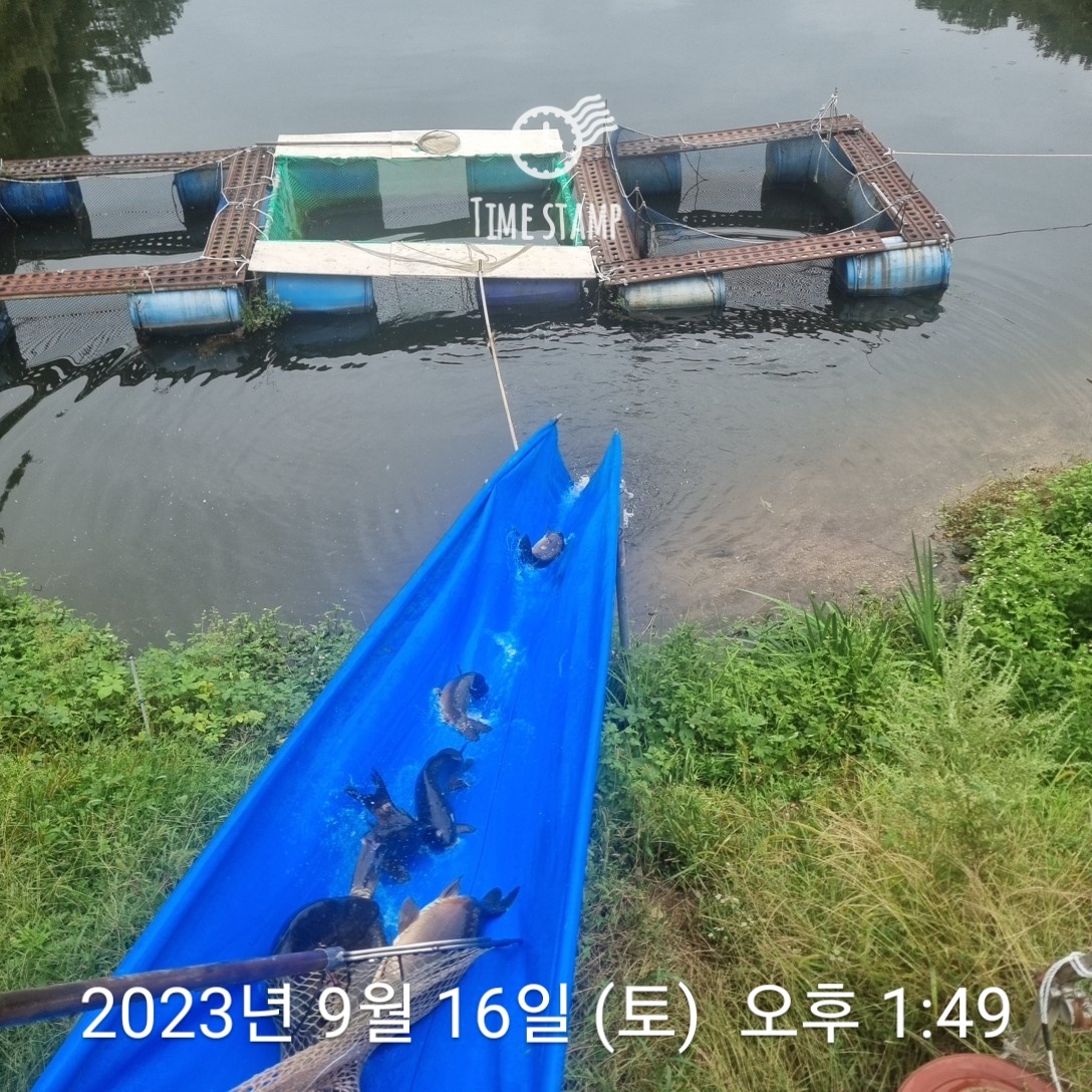 1694842401921.jpg