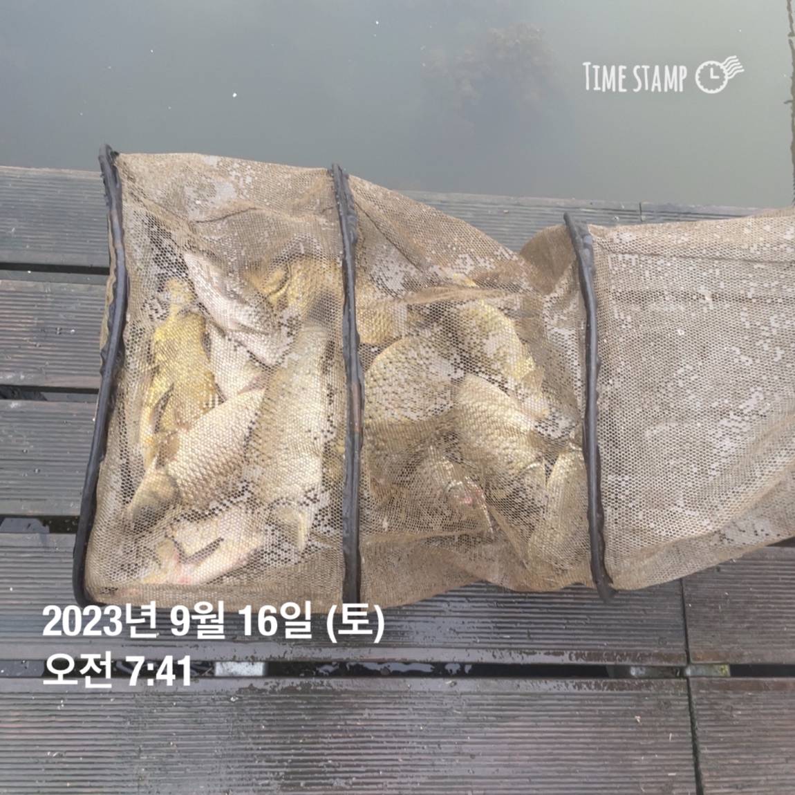 KakaoTalk_20230917_083158684_02.jpg