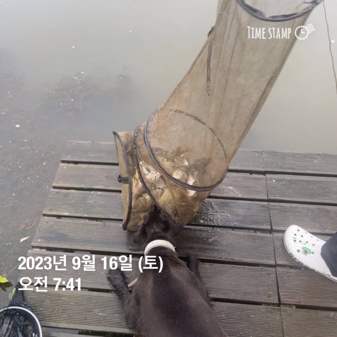 KakaoTalk_20230917_083158684_04.jpg