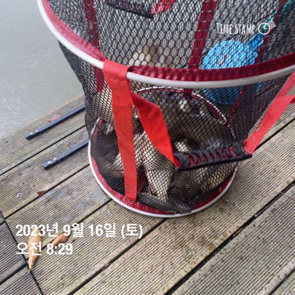 KakaoTalk_20230917_083158684_07.jpg