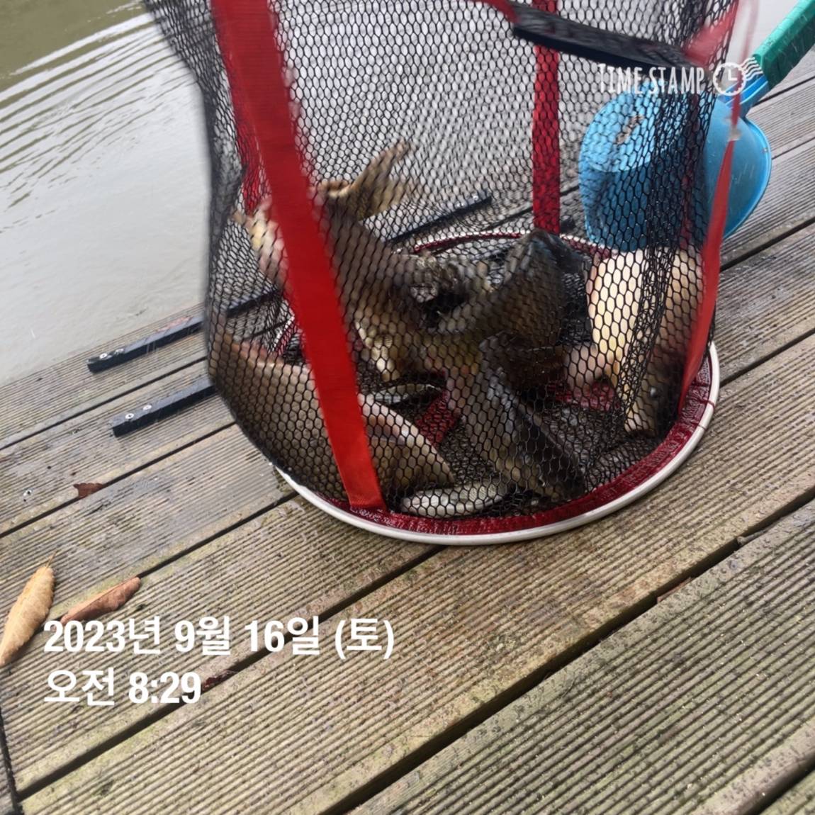 KakaoTalk_20230917_083158684_08.jpg