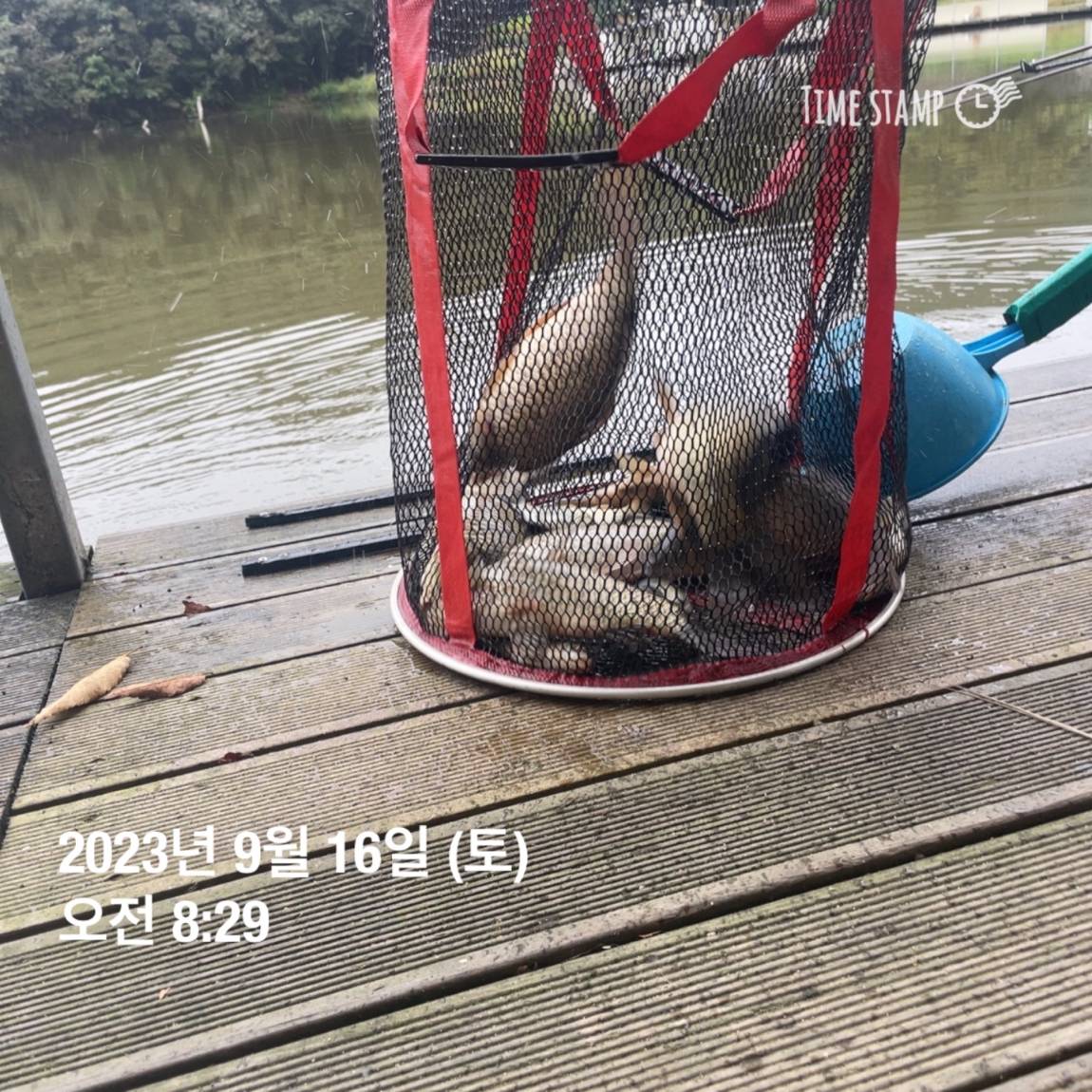 KakaoTalk_20230917_083158684_09.jpg