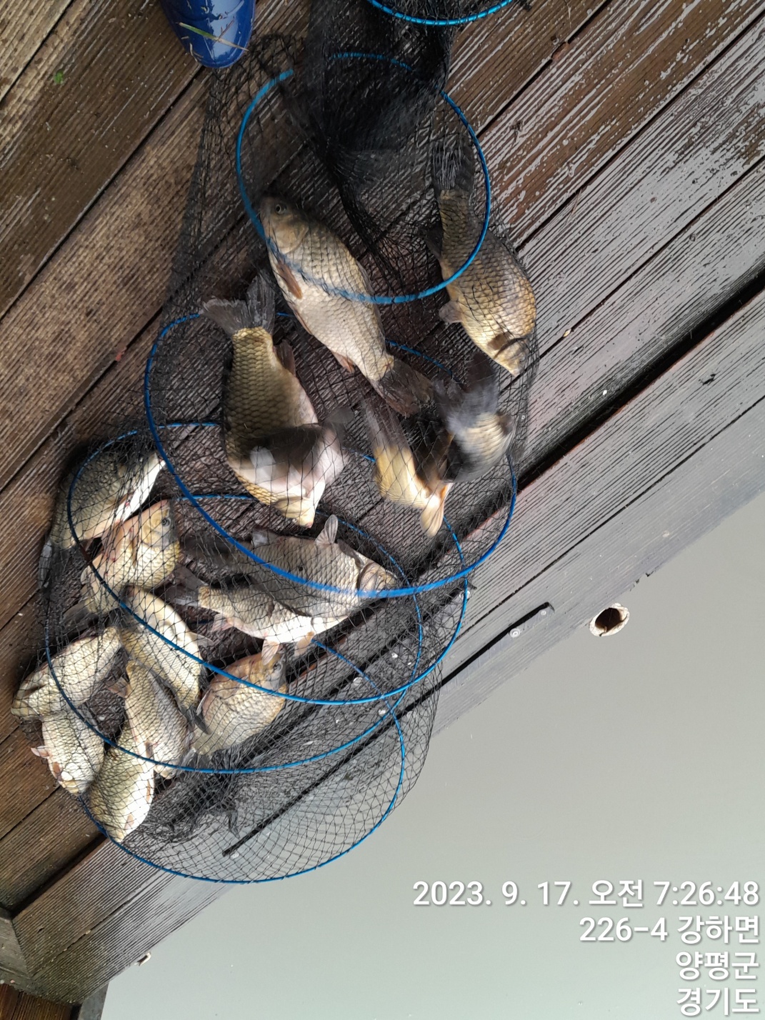 KakaoTalk_20230917_073816067.jpg