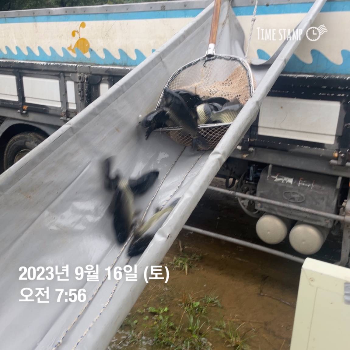 KakaoTalk_20230917_083107290_04.jpg