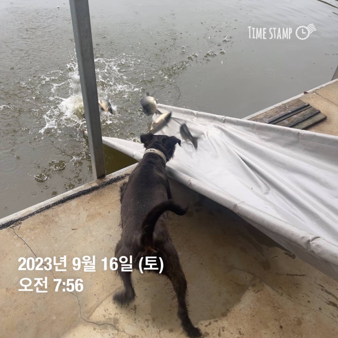 KakaoTalk_20230917_083107290_06.jpg
