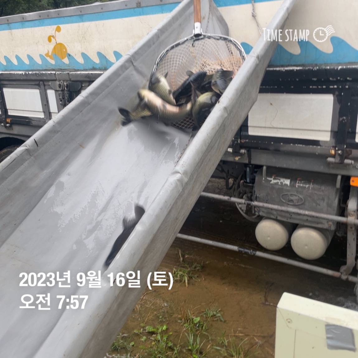 KakaoTalk_20230917_083107290_08.jpg