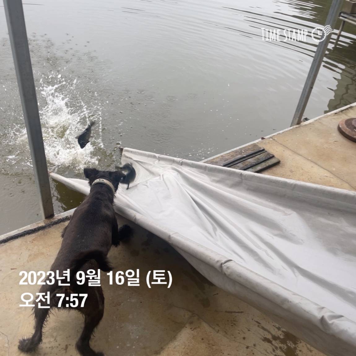 KakaoTalk_20230917_083107290_09.jpg