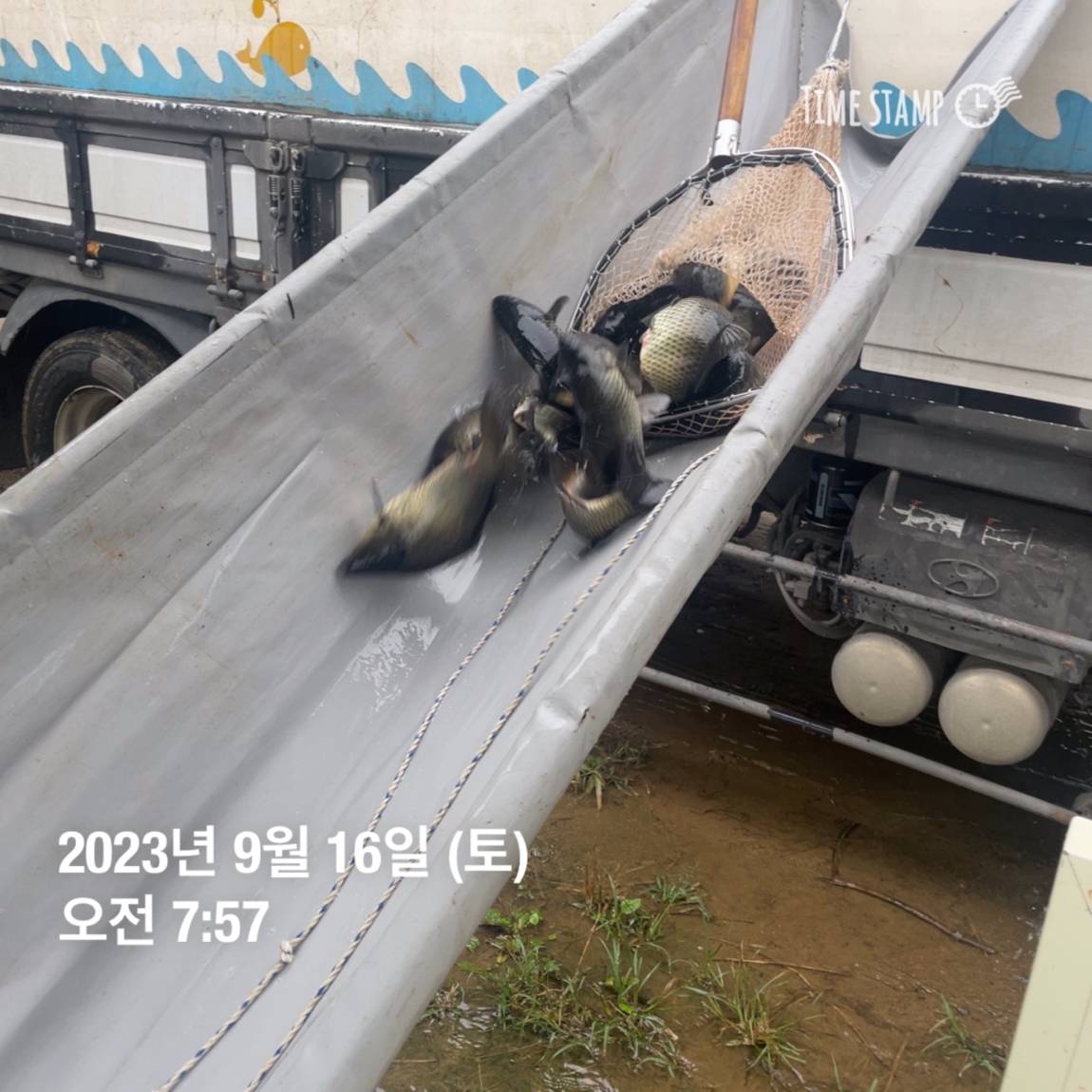 KakaoTalk_20230917_083107290_15.jpg