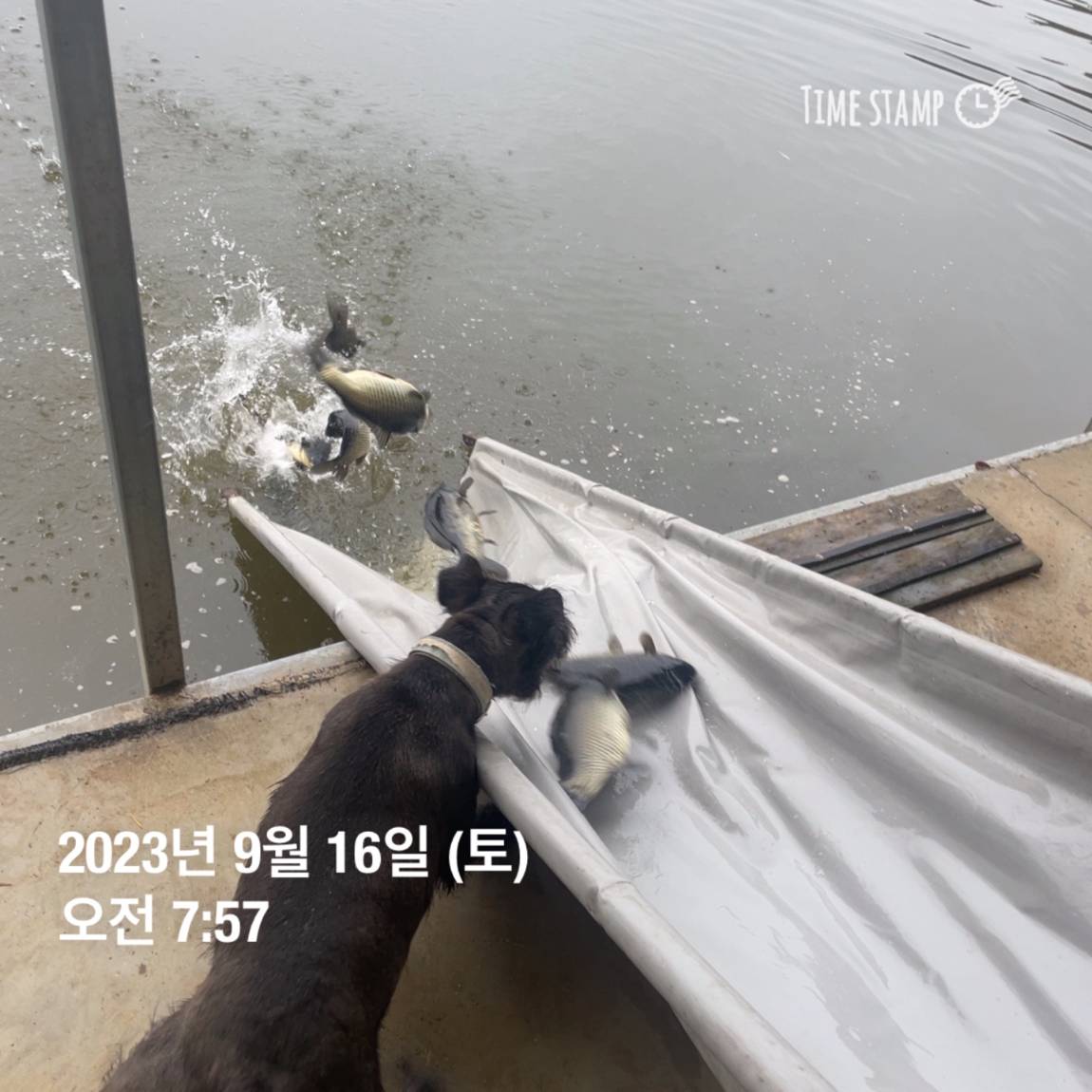 KakaoTalk_20230917_083107290_16.jpg