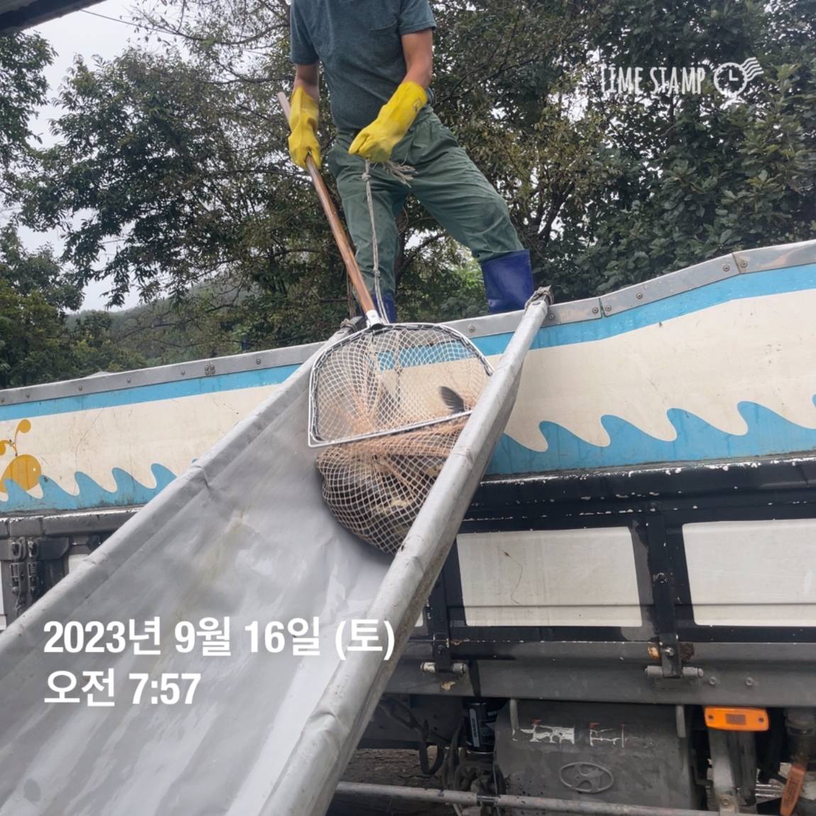 KakaoTalk_20230917_083107290_17.jpg