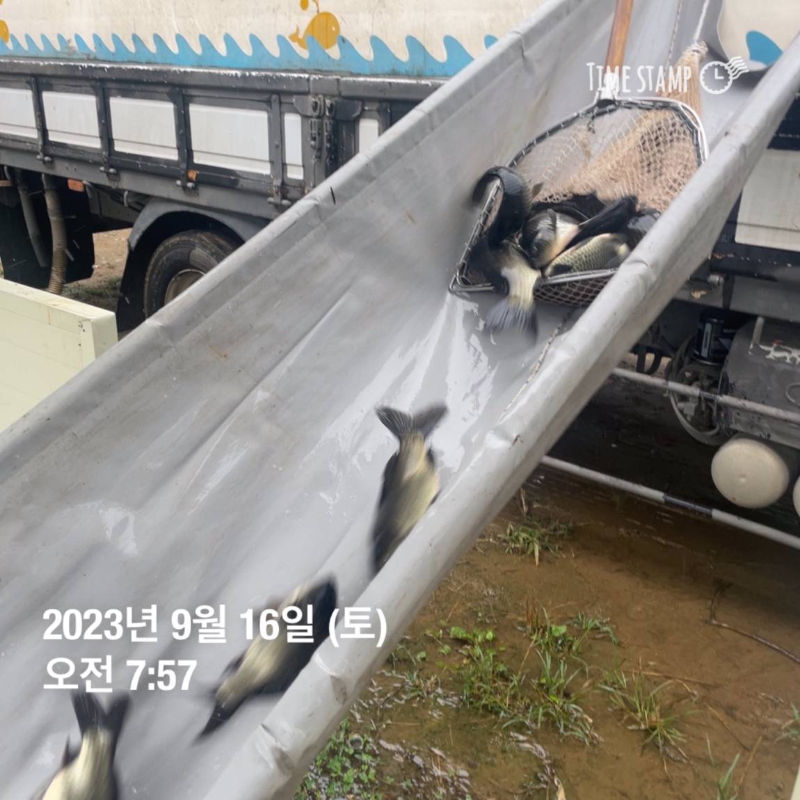 KakaoTalk_20230917_083107290_18.jpg
