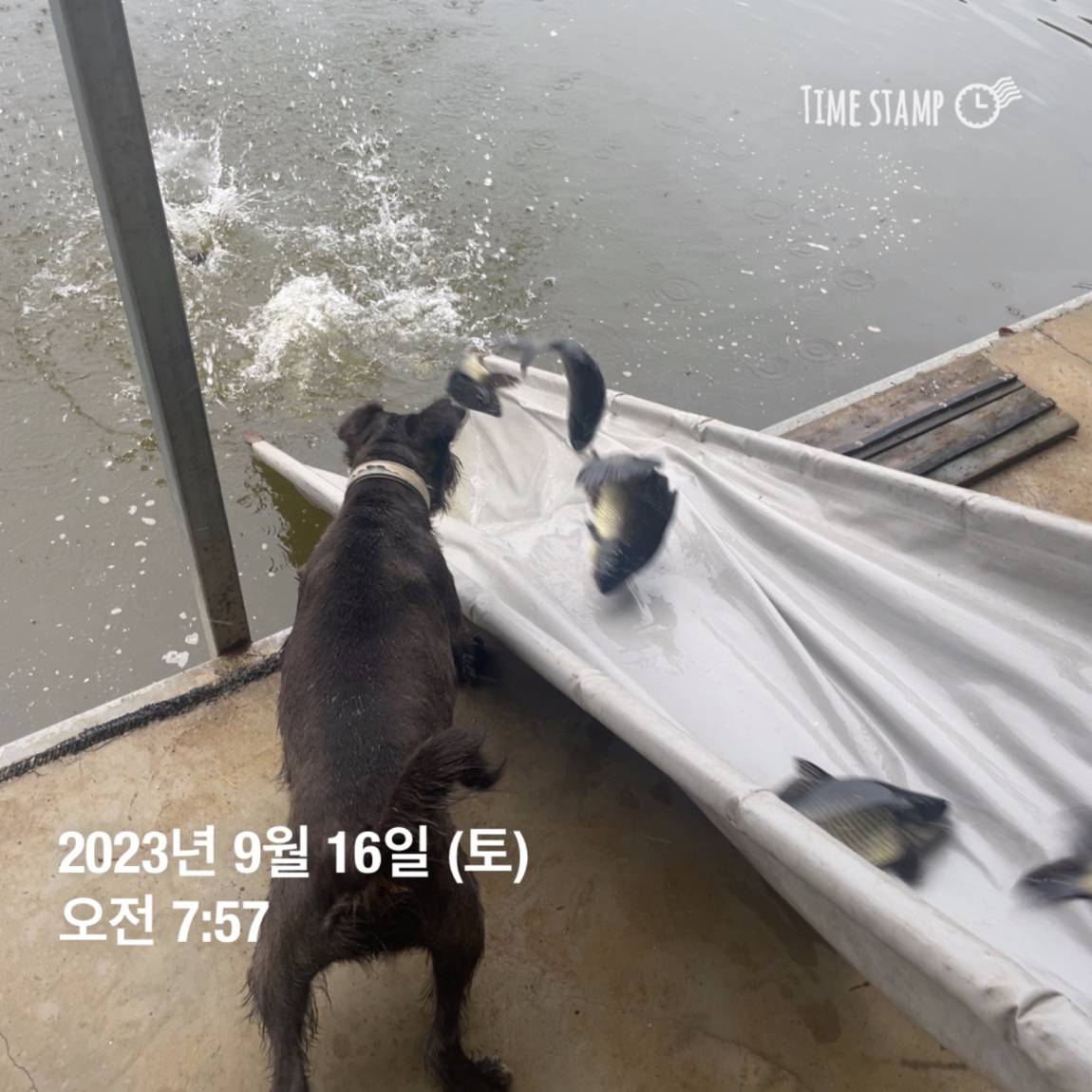 KakaoTalk_20230917_083107290_19.jpg