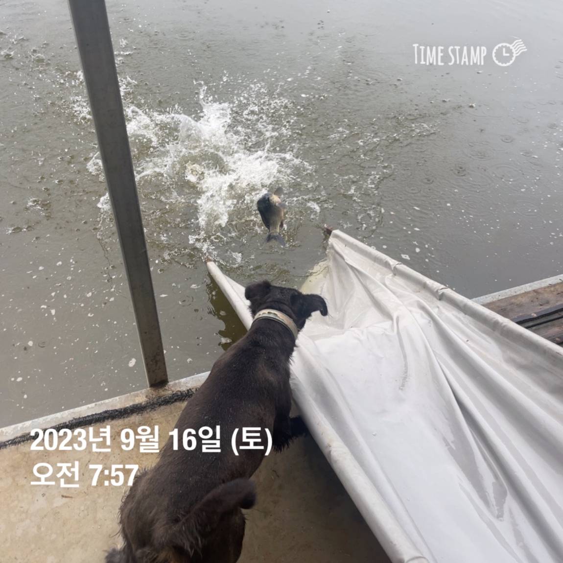 KakaoTalk_20230917_083107290_22.jpg