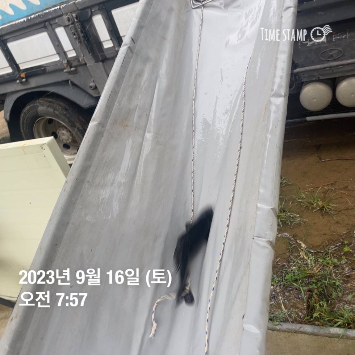KakaoTalk_20230917_083107290_21.jpg