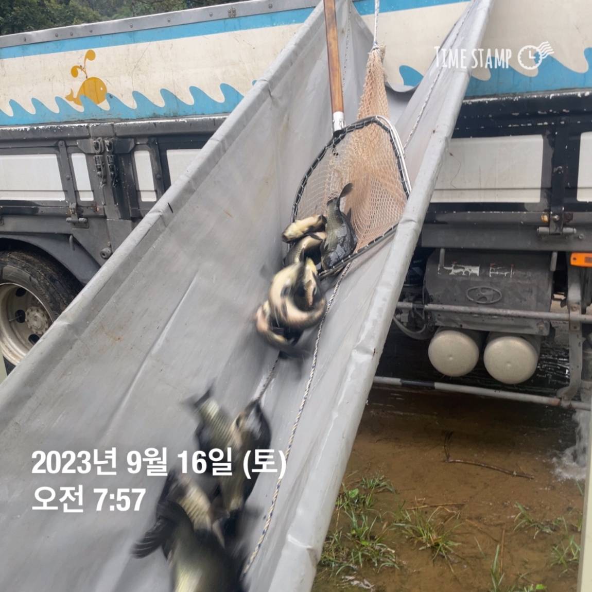 KakaoTalk_20230917_083107290_24.jpg