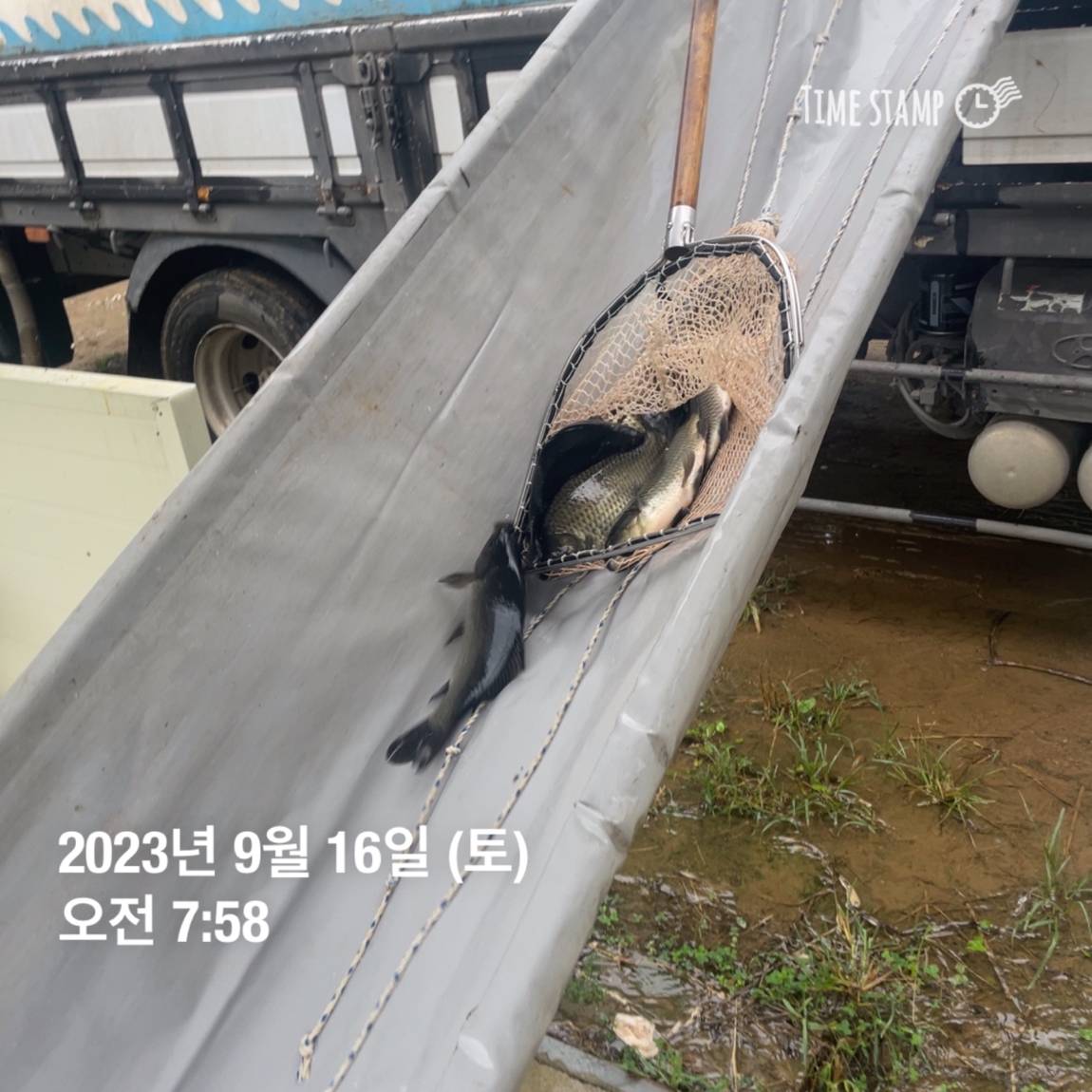KakaoTalk_20230917_083107290_27.jpg
