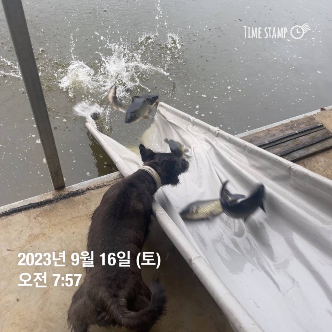 KakaoTalk_20230917_083107290_25.jpg