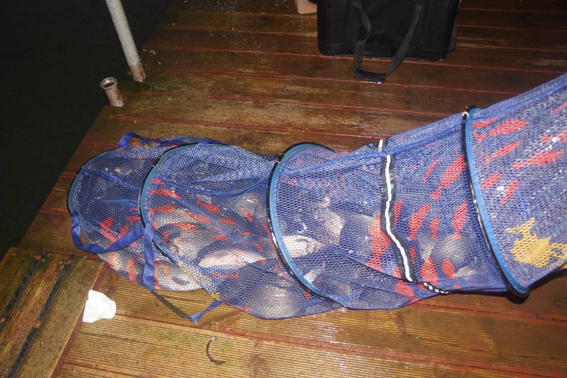 DSC02358.JPG
