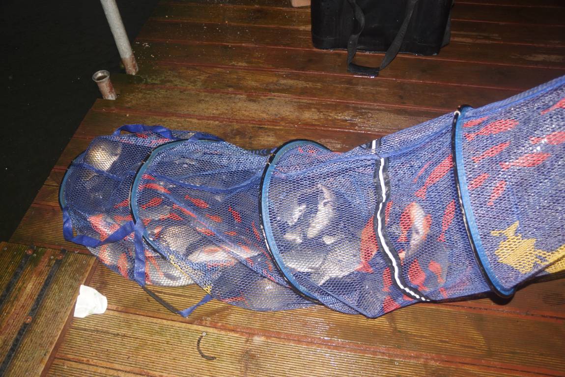 DSC02357.JPG