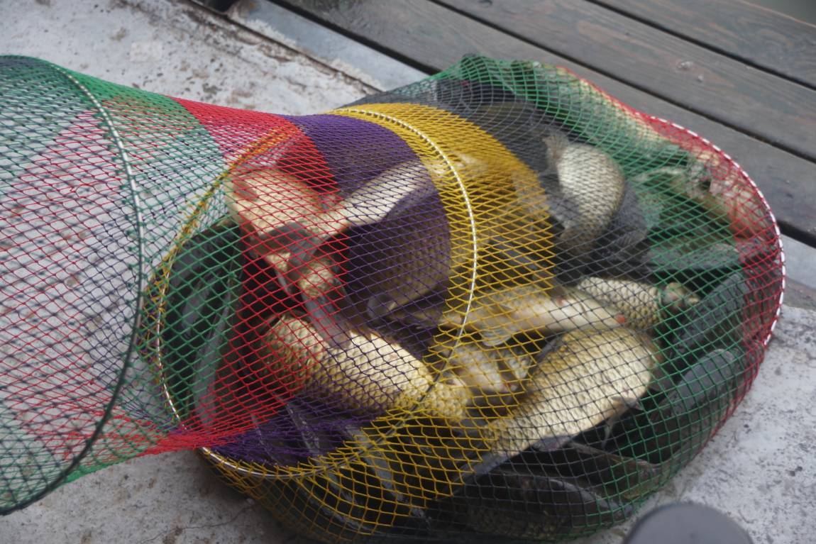 DSC02376.JPG