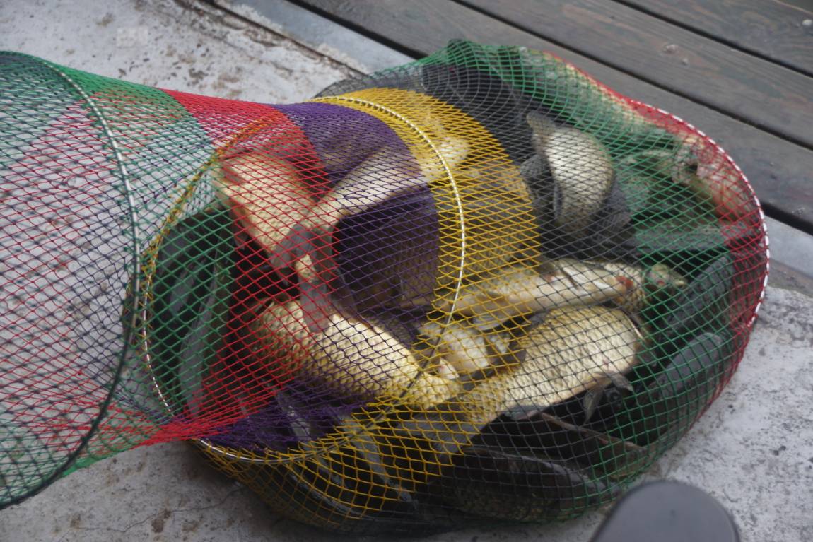 DSC02377.JPG