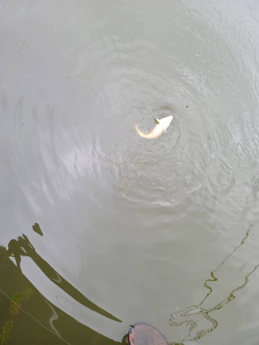 20230915_093929.jpg