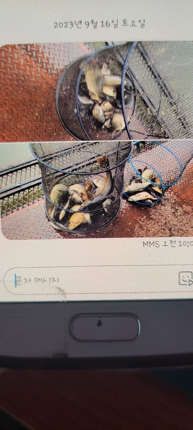 KakaoTalk_20230916_140600932.jpg
