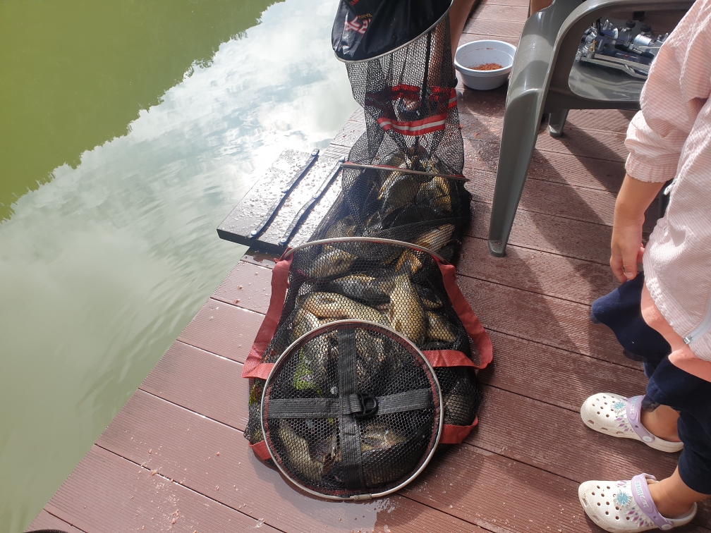 Resized_20230917_091650.jpeg