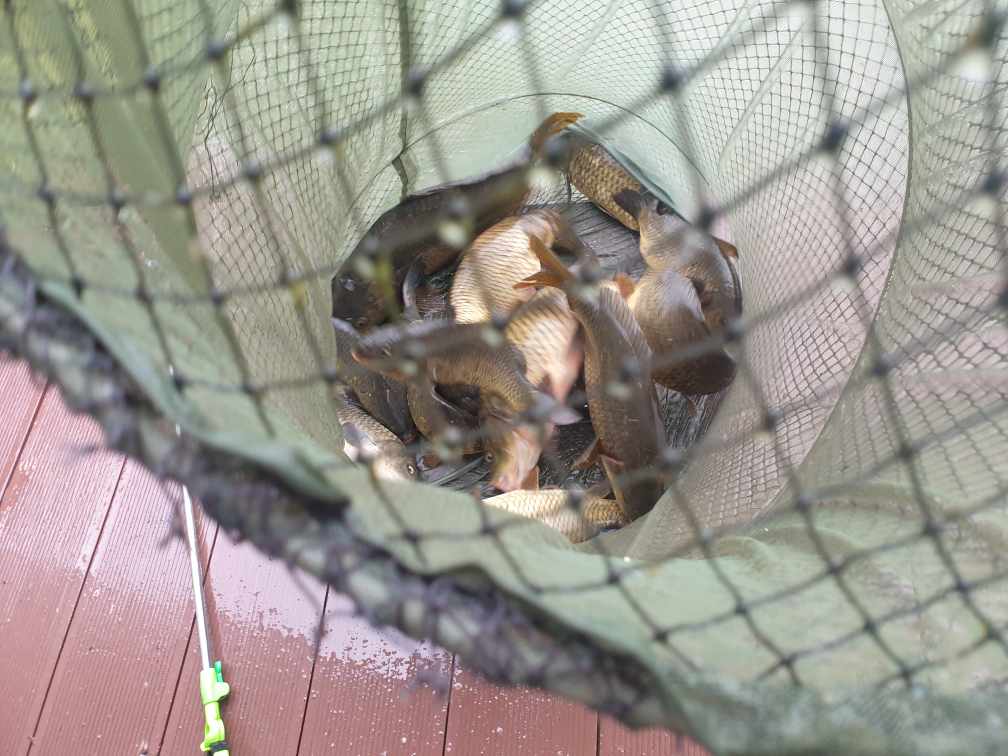 Resized_20230916_093041.jpeg