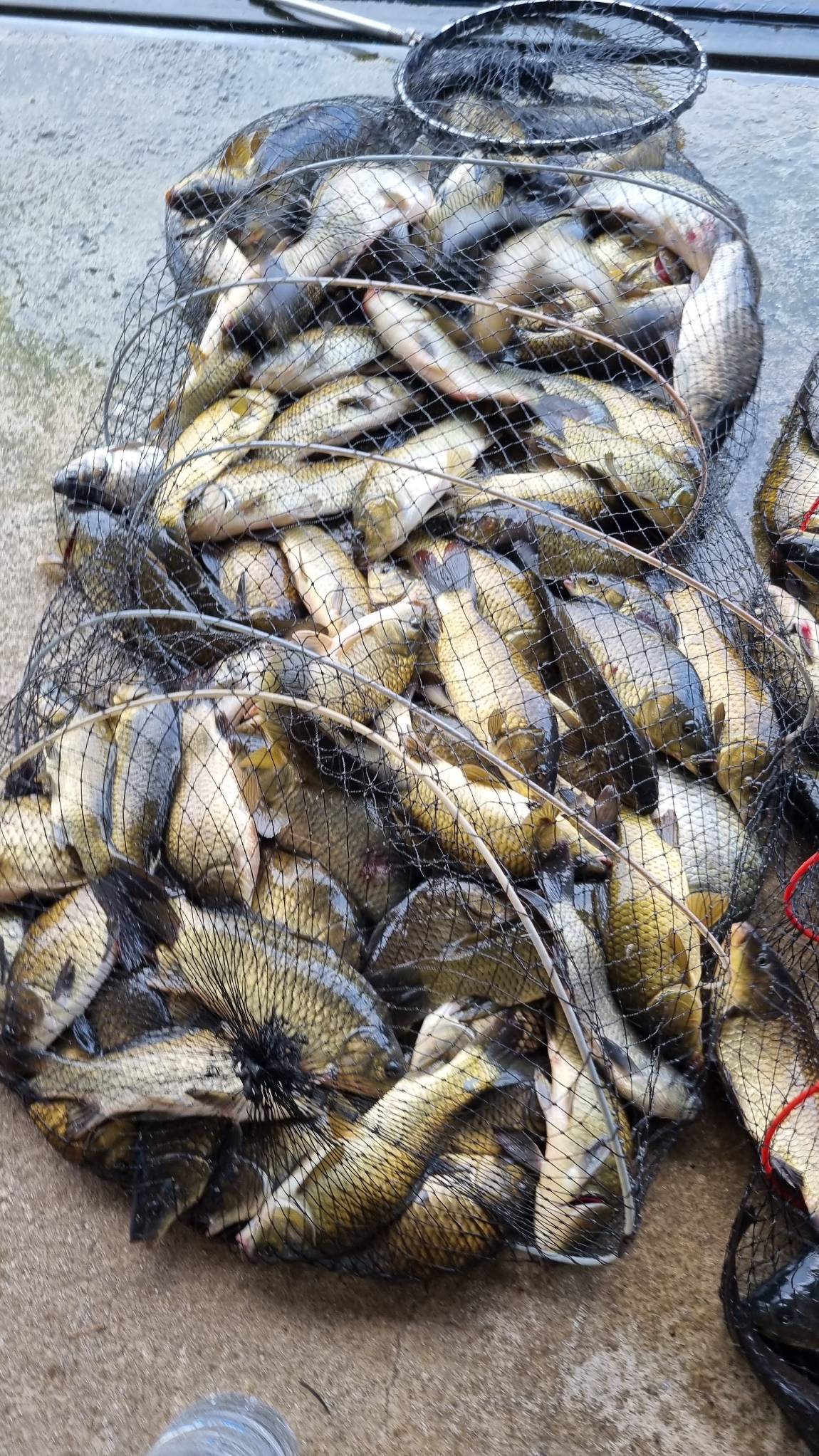 20230917_081447.jpg