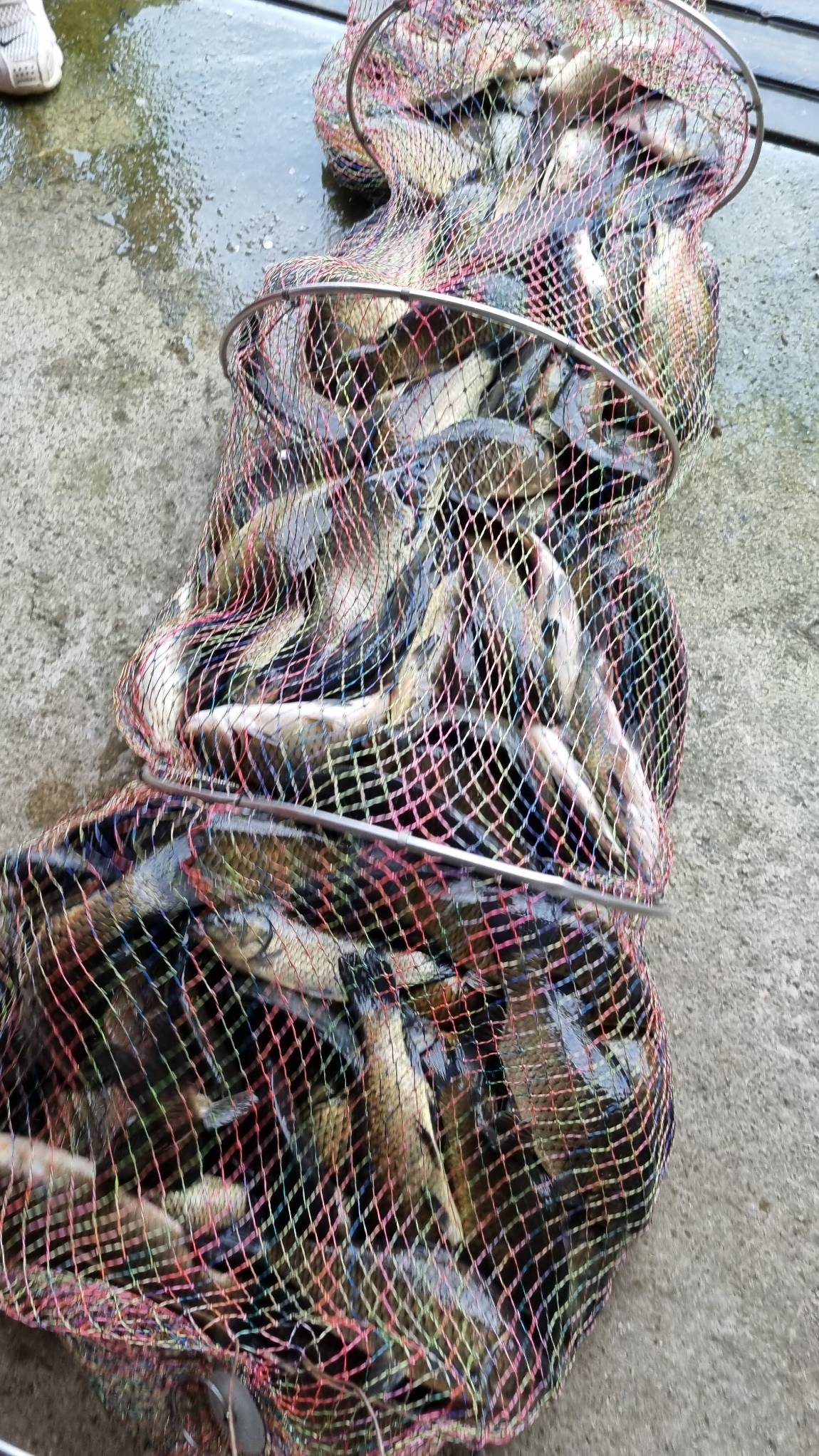 20230917_074753.jpg