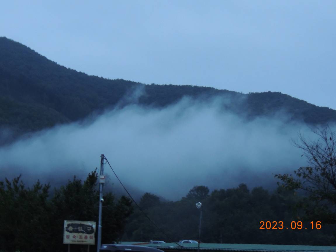 DSCN8784.JPG