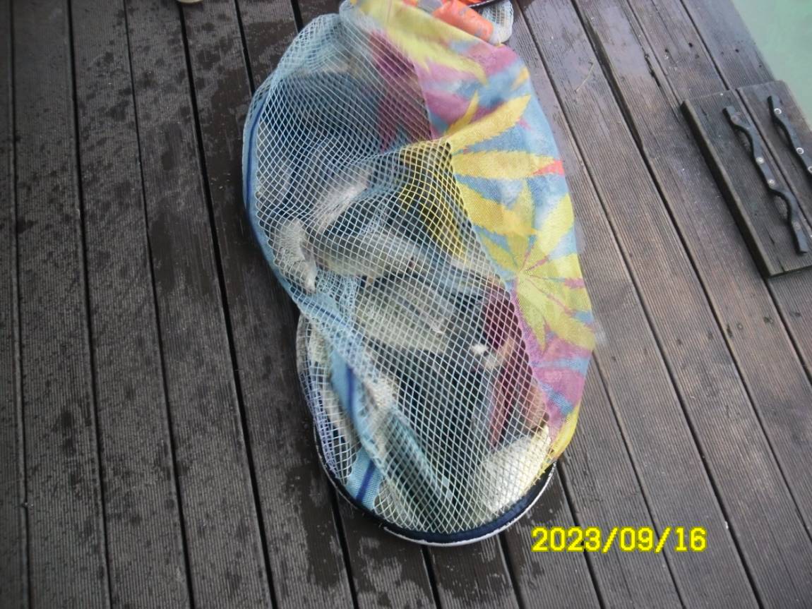 [ũ⺯ȯ]SAM_1567.JPG