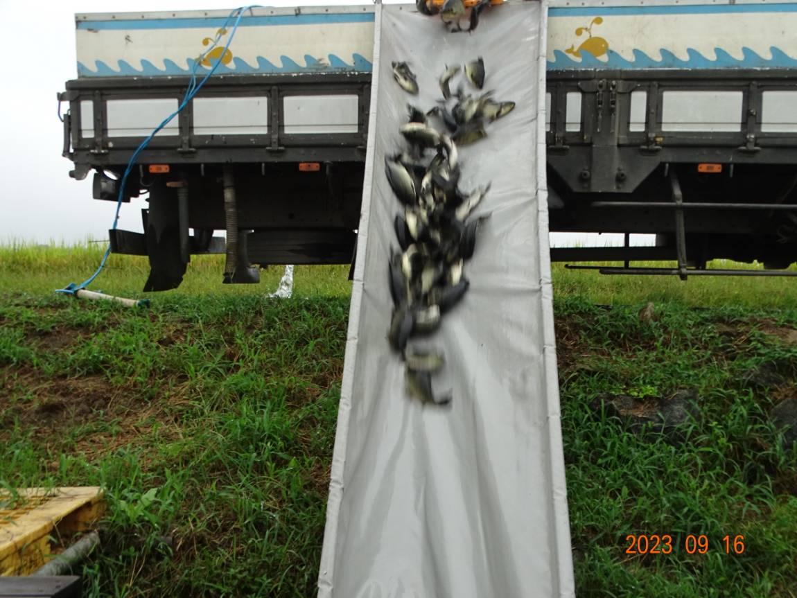[ũ⺯ȯ]DSC05205.JPG