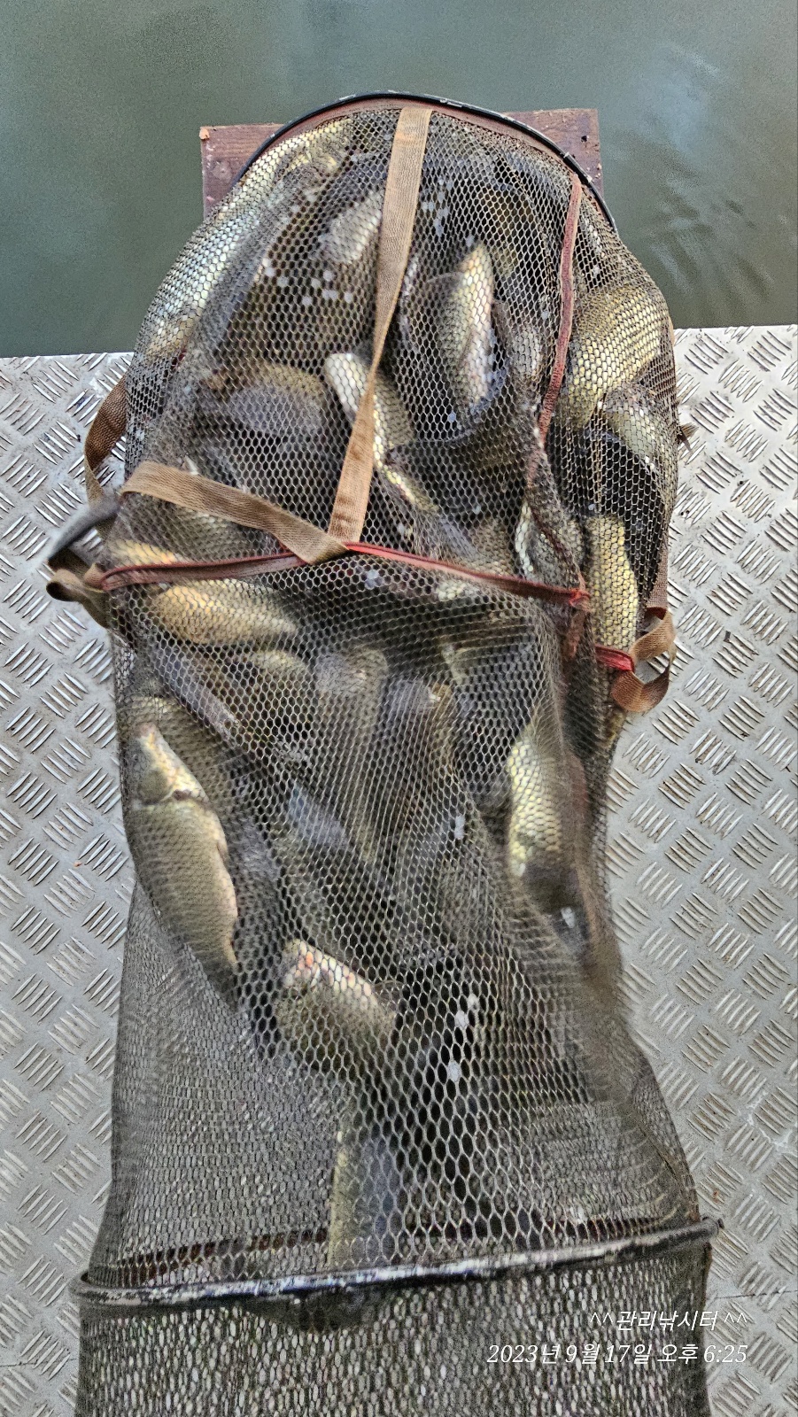KakaoTalk_20230918_180241590_03.jpg