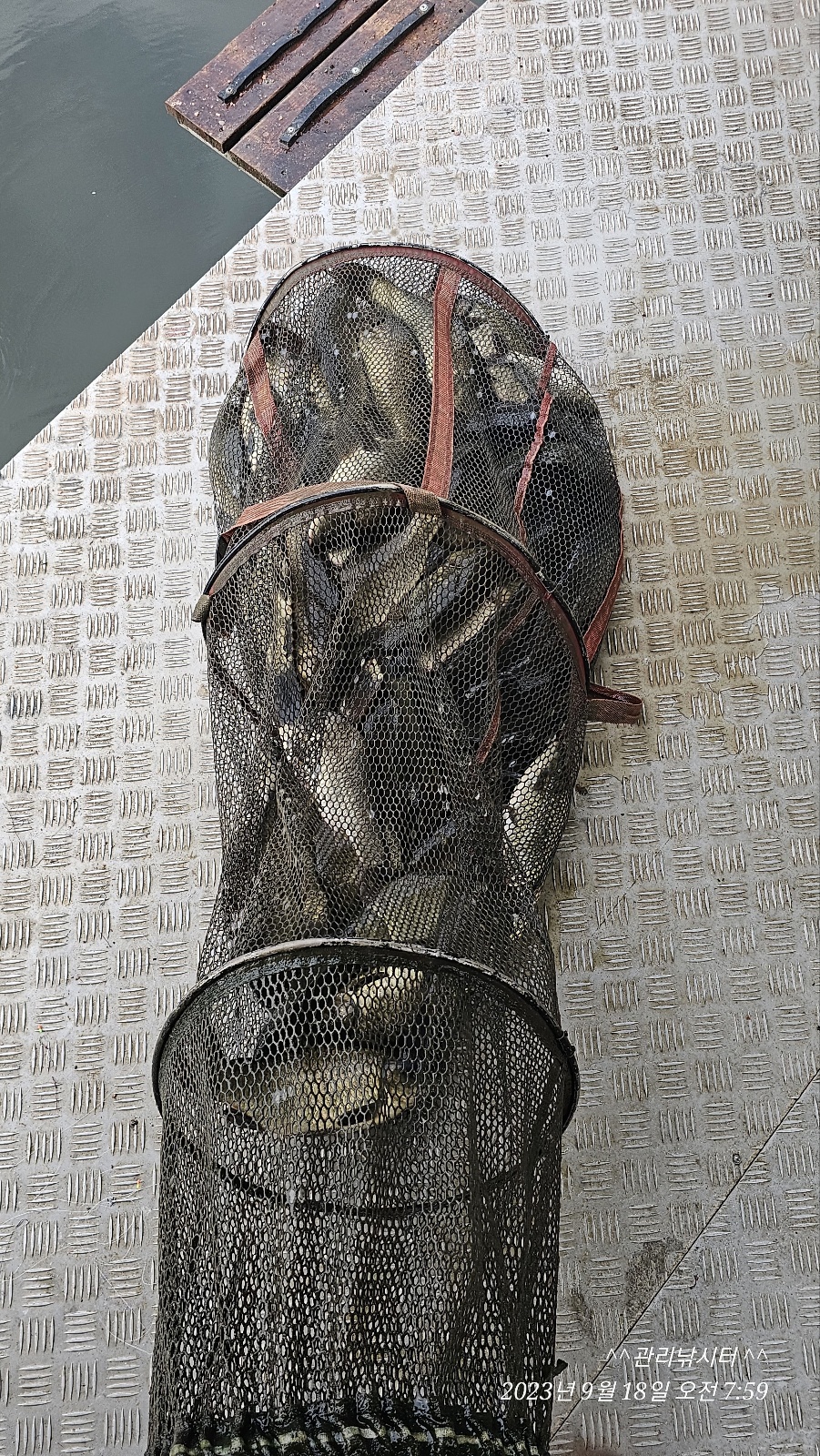 KakaoTalk_20230918_211850630_02.jpg