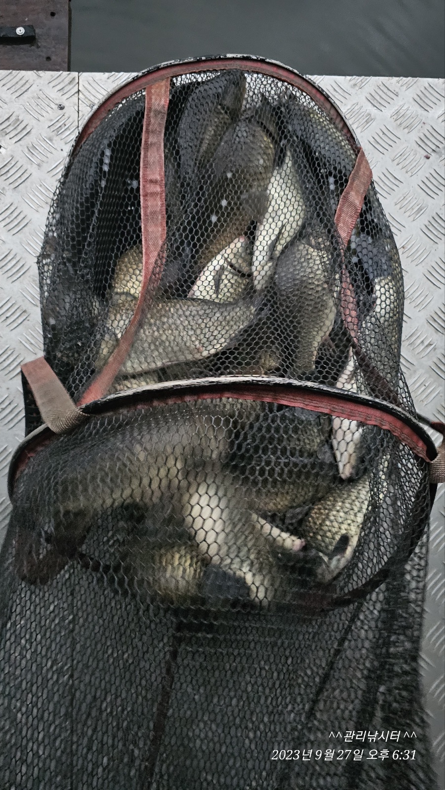 KakaoTalk_20230928_071330481.jpg