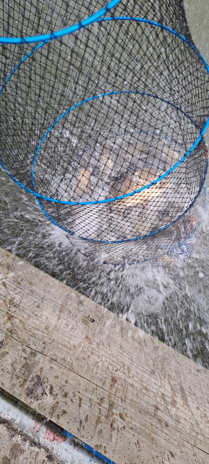 KakaoTalk_20230930_085049201_05.jpg