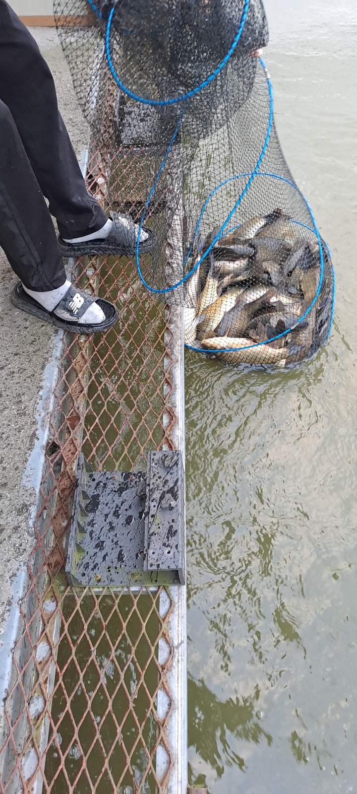 KakaoTalk_20230930_085049201_09.jpg