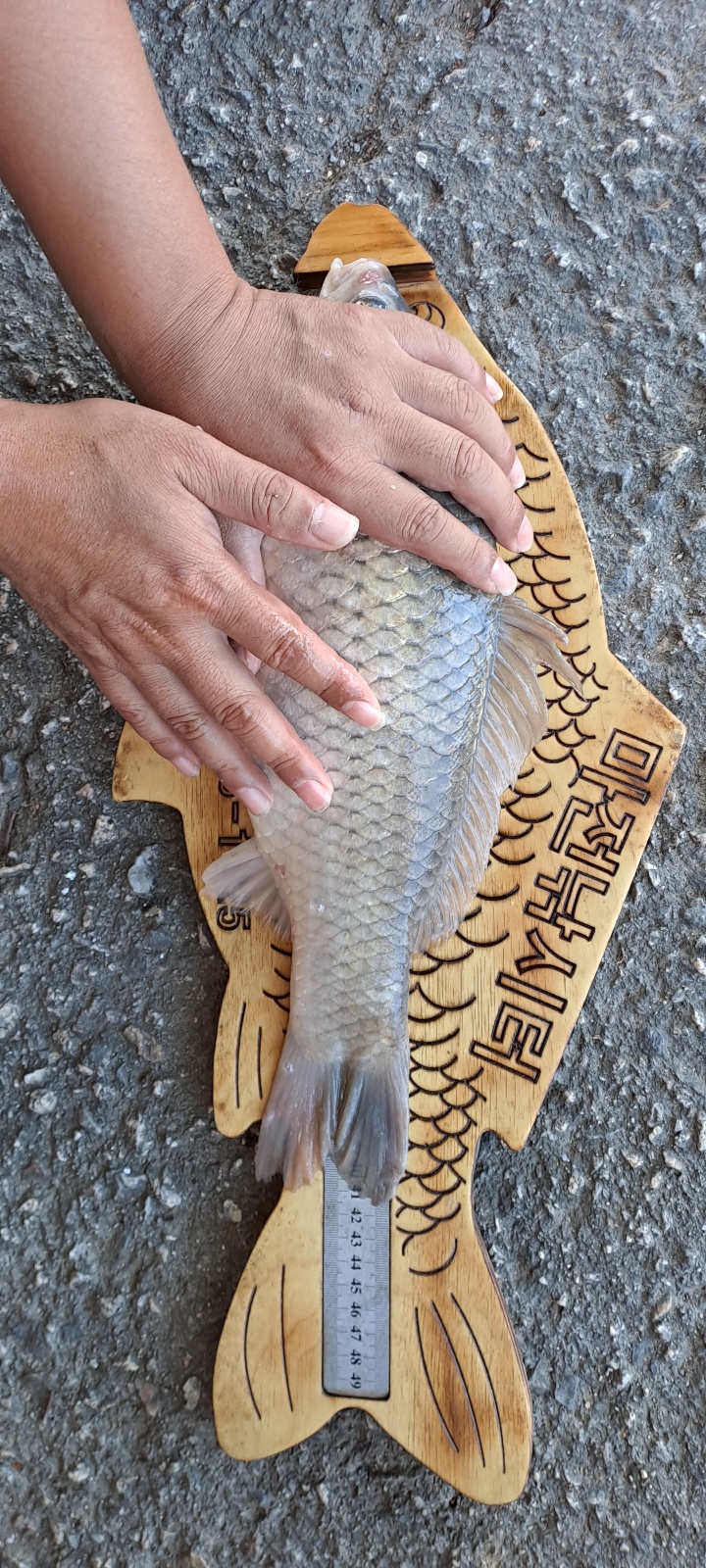 KakaoTalk_20230930_085049201_14.jpg