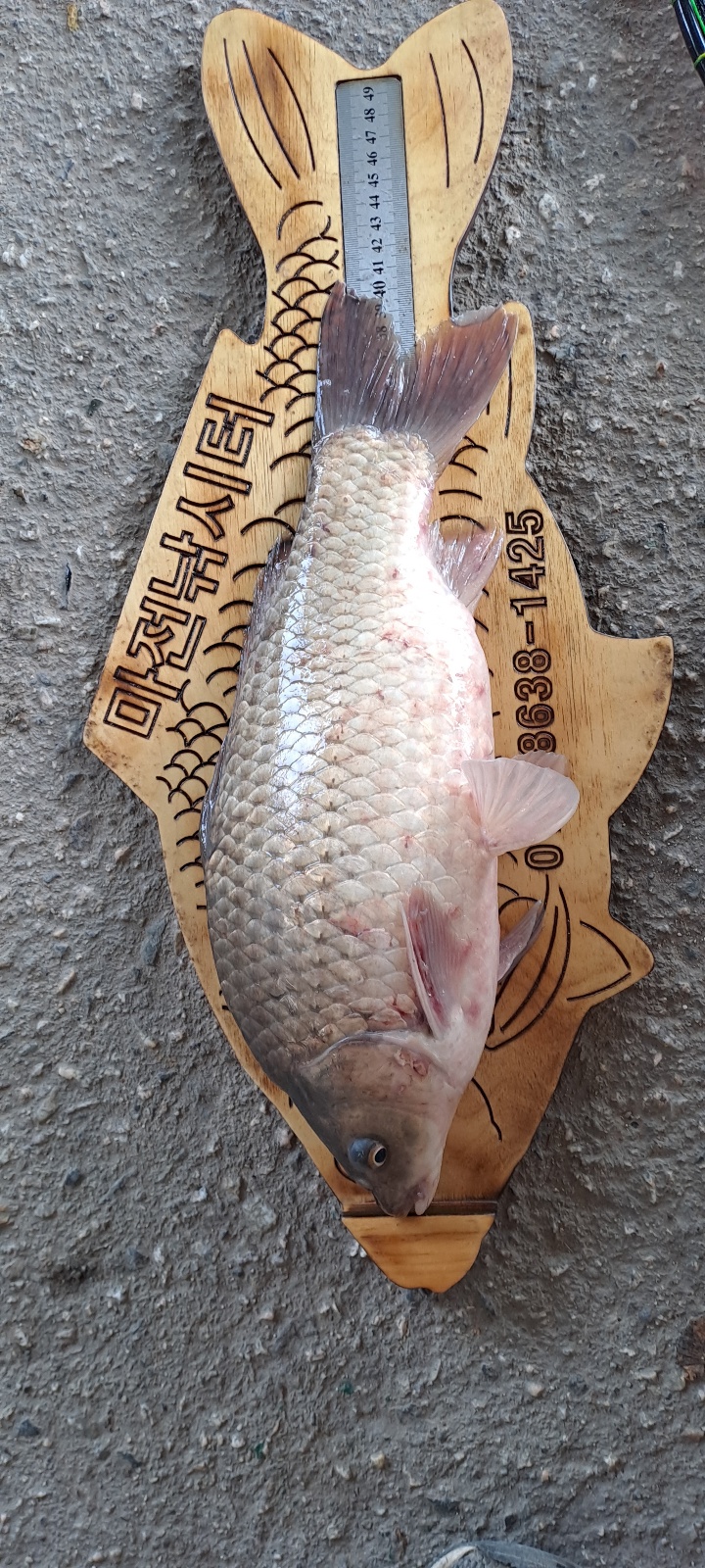 KakaoTalk_20230930_085339800_01.jpg