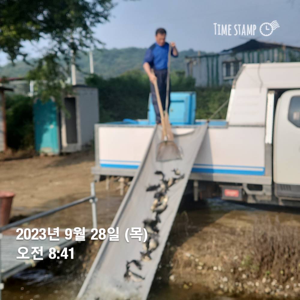 1696037611727.jpg