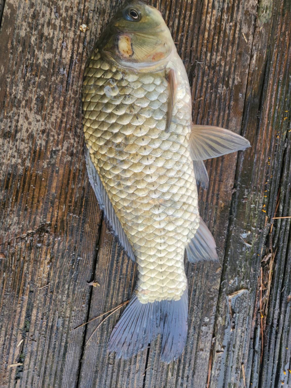 20230929_100828.jpg