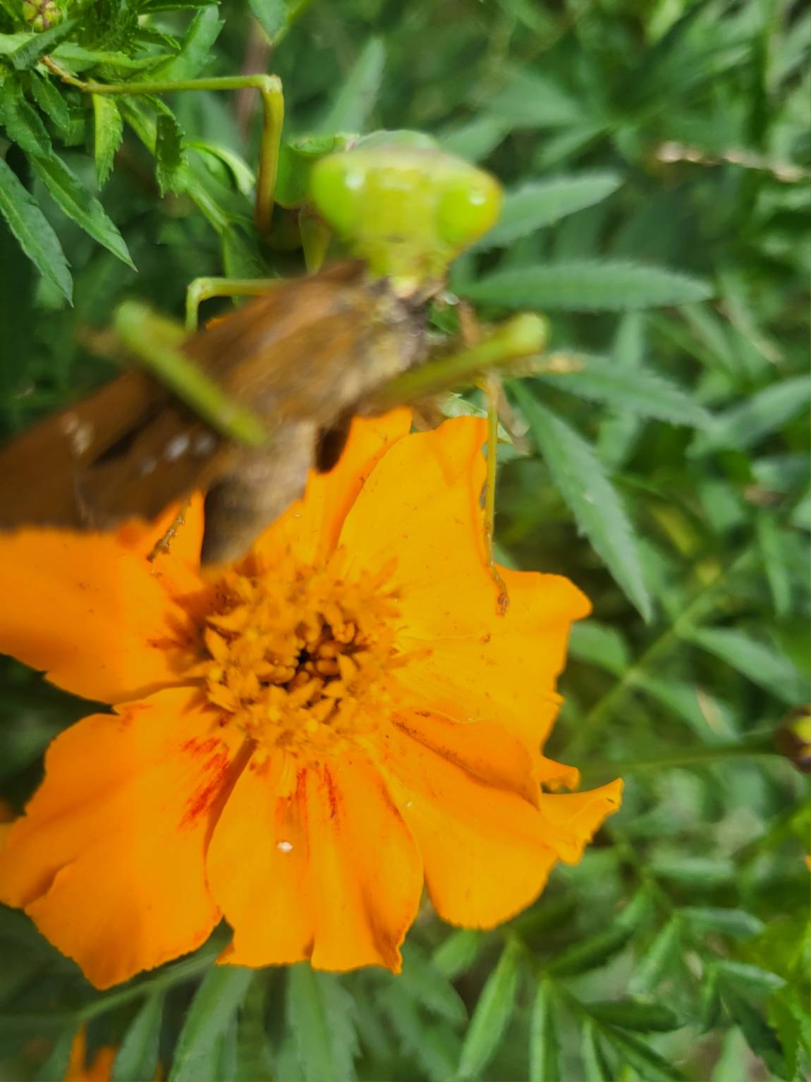 20230929_151202.jpg